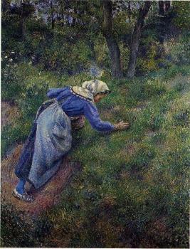 Camille Pissarro : Peasant Gathering Grass